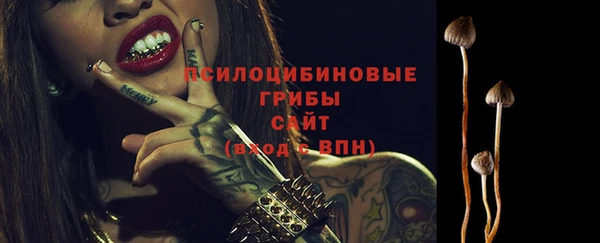 спиды Алексеевка