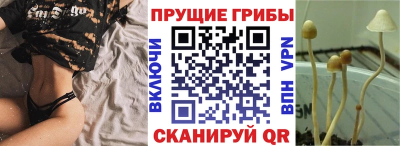 Галлюциногенные грибы ЛСД  Богородск 
